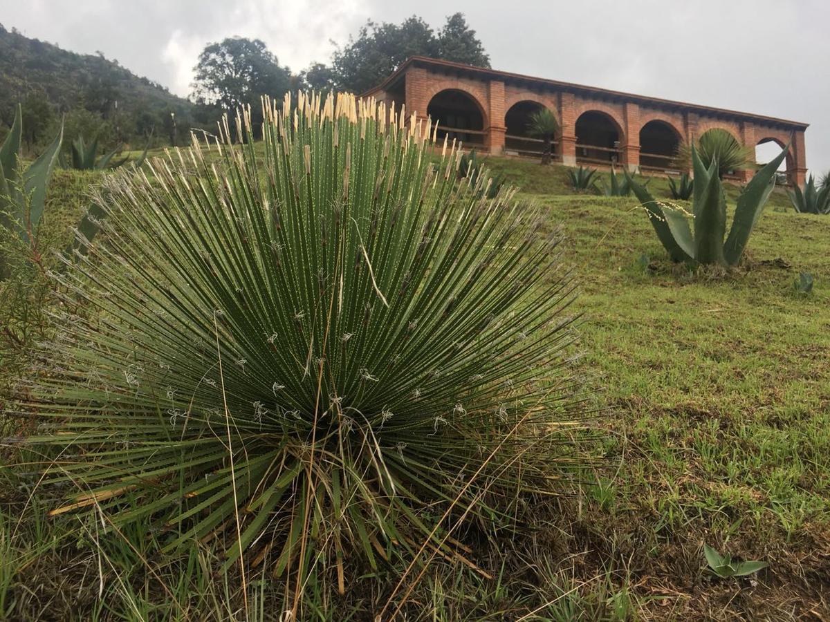 Hotel Rancho Escondido Casa Goyri Tlaxco Zewnętrze zdjęcie